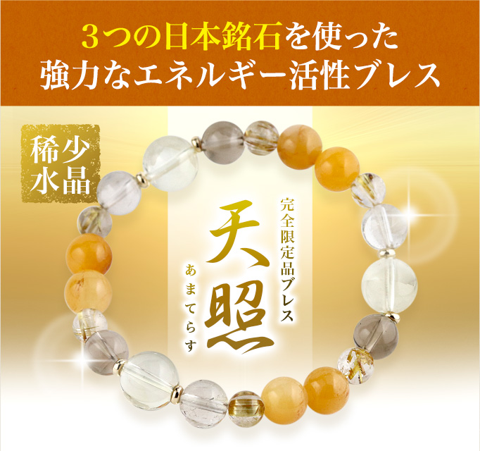 [��]���S����i�u���X�y�V��Ver.5�z